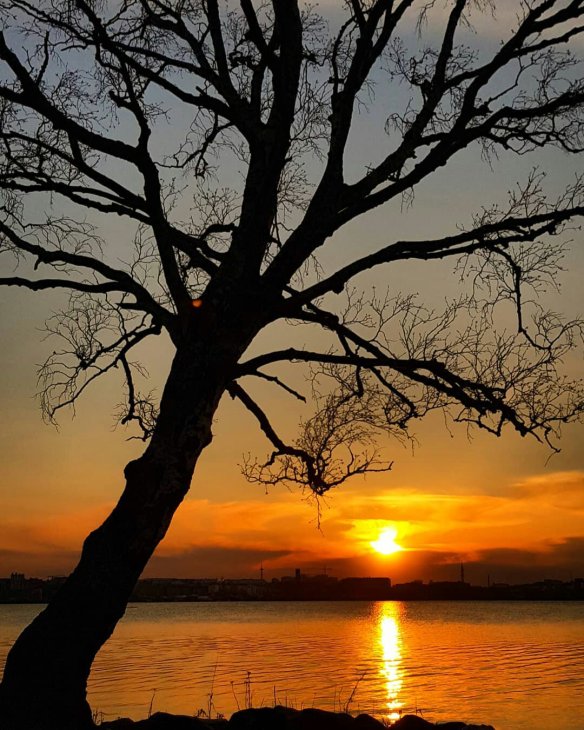 706eade072dadc849f5e923ff237229f1394373054